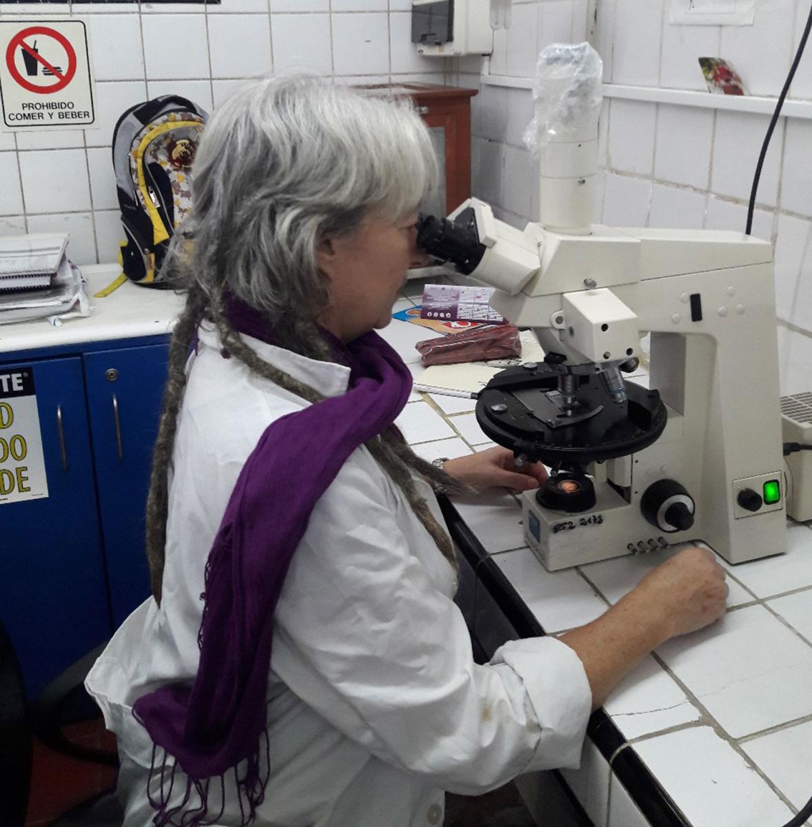 Las desigualdades que enfrentan las mujeres para hacer ciencia en Tucumán