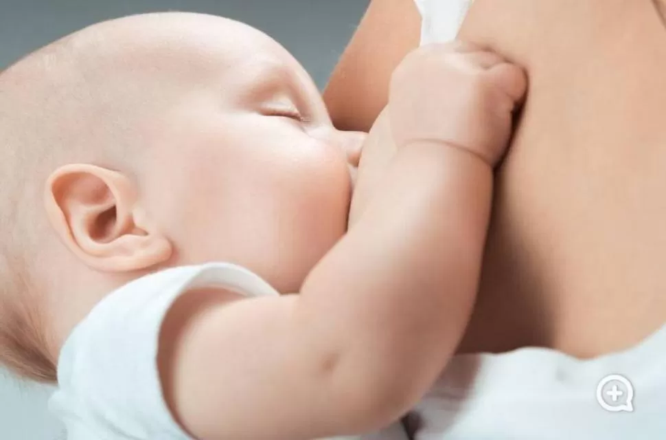 NO AL DESTETE. La leche materna es fundamental en los primeros seis meses de vida y recomendada hasta los dos años. ARCHIVO LA GACETA