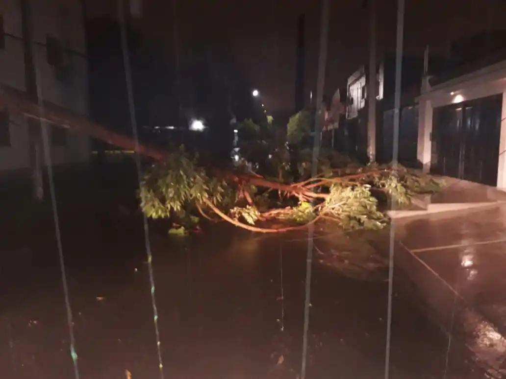 Fuerte temporal en Tucumán: Calles anegadas, árboles caídos y cortes de luz en distintos puntos