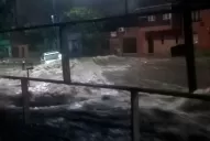 Romero asegura que Bussi ataca a Alfaro por orden de Jaldo