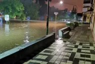 Fuerte temporal en Tucumán: Calles anegadas, árboles caídos y cortes de luz en distintos puntos