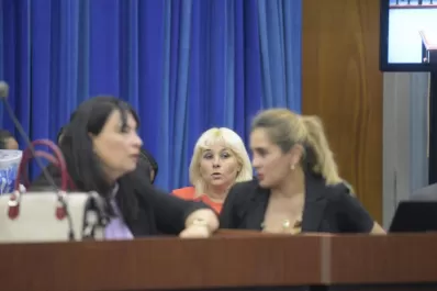 La banda de La Cabezona: una testigo reservada no pudo reconocer una libreta con cuentas
