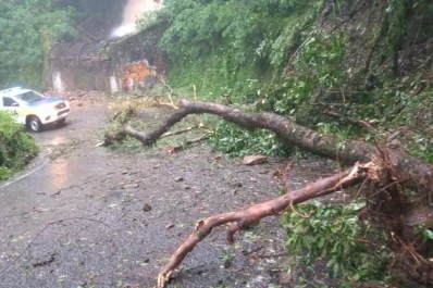 Tucumán, bajo el agua: ¿cuáles son las zonas más afectadas por el temporal?