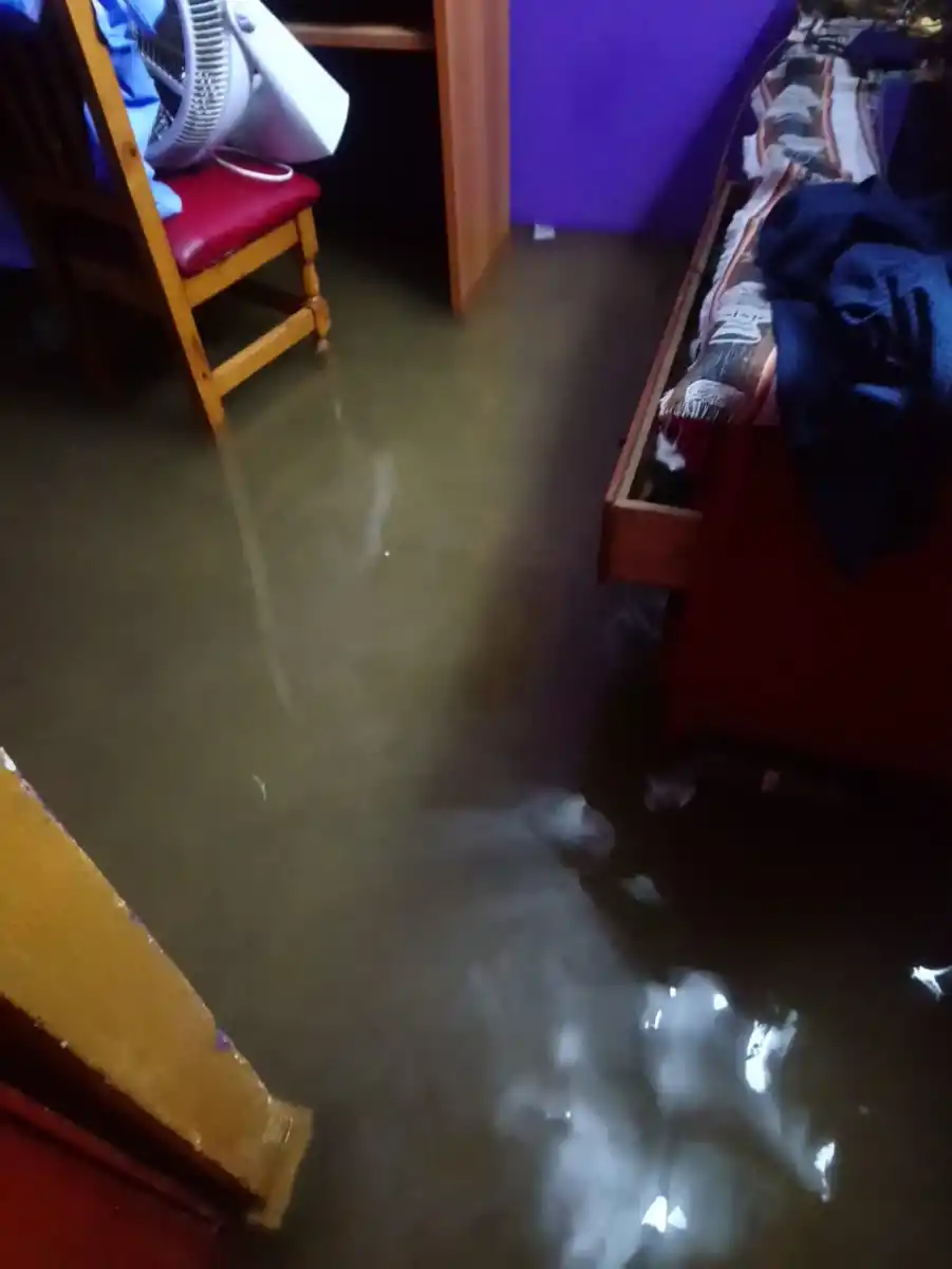 Fuerte temporal en Tucumán: Calles anegadas, árboles caídos y cortes de luz en distintos puntos