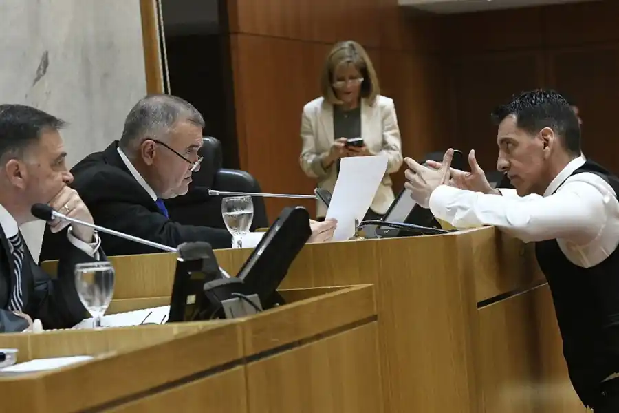 EN EL RECINTO. Gerónimo Vargas Aignasse, de pie, en una sesión. Foto: Prensa Legislatura