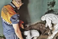 Cecilia Gordillo entregó el celular de  su hermano a la Justicia, en el que se espera hallar pruebas