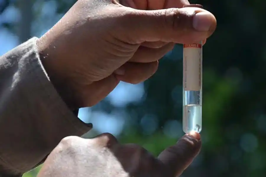 Dengue y sarampión: afirman que Tucumán no presenta casos, pero hay preocupación 