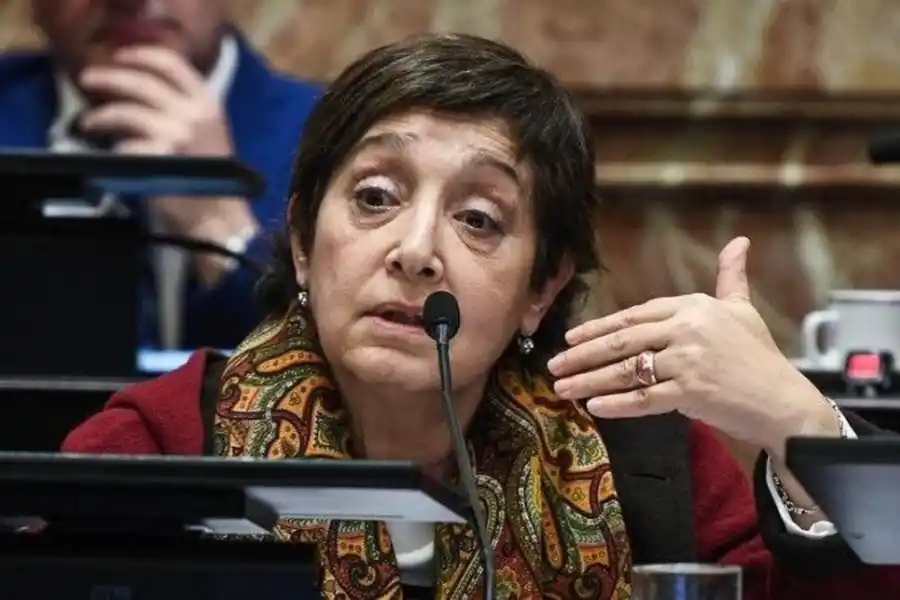 BEATRIZ MIRKIN. Restando dos años para finalizar su mandato, Mirkin tiene 21 asesores en su equipo. La senadora del Frente de   Todos cuenta con tres empleados de nivel uno que cobran $ 143.427,54 por mes sin contar antigüedad ni viáticos.