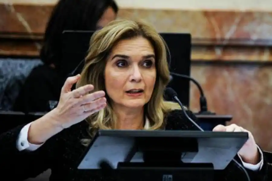 SILVIA ELÍAS DE PÉREZ: La senadora de Juntos por el Cambio tiene 38 asesores en total, de los cuáles  18 pertenecen a los cuatro   rangos más altos dentro de la escala salarial de la Cámara, cobrando por encima de los $ 100.000 pesos cada uno. 