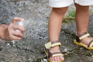 Dengue: ¿cuánto le cuesta a una familia combatir el Aedes aegypti en su casa?