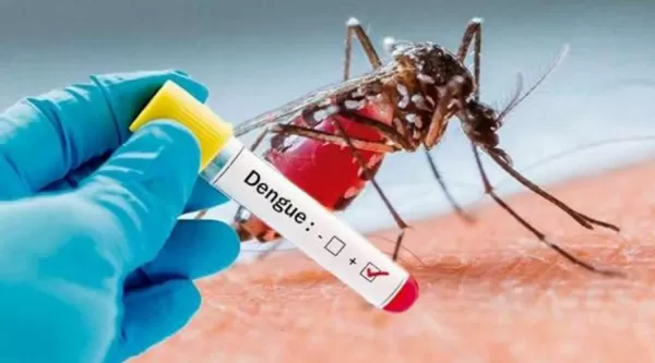 Dengue: cuando el enemigo está volando en casa