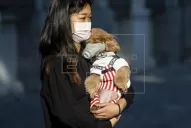 Confirmaron el primer caso de un perro con coronavirus