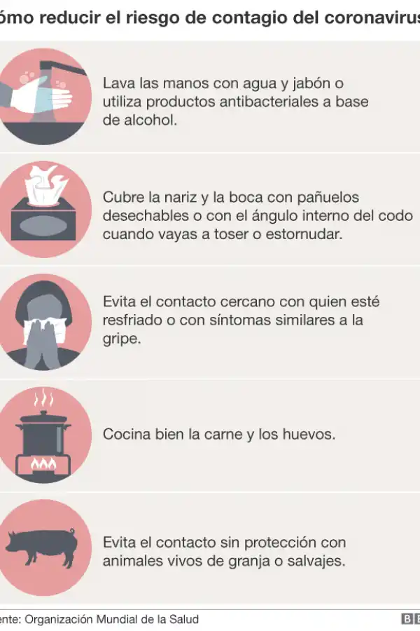 El coronavirus llegó a la Argentina: las 10 buenas noticias frente a la epidemia