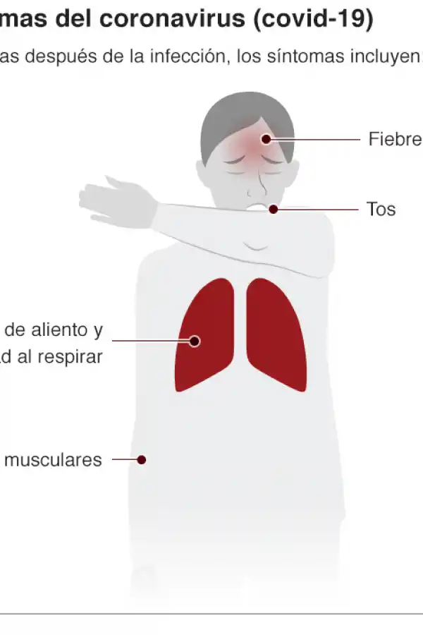 El coronavirus llegó a la Argentina: las 10 buenas noticias frente a la epidemia