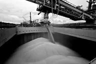 La Ciara advierte que la exportación de harina y aceite de soja también se resentirá