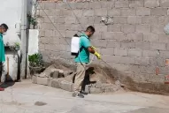 Confirman más casos de dengue en Tucumán: ya son 33 los infectados