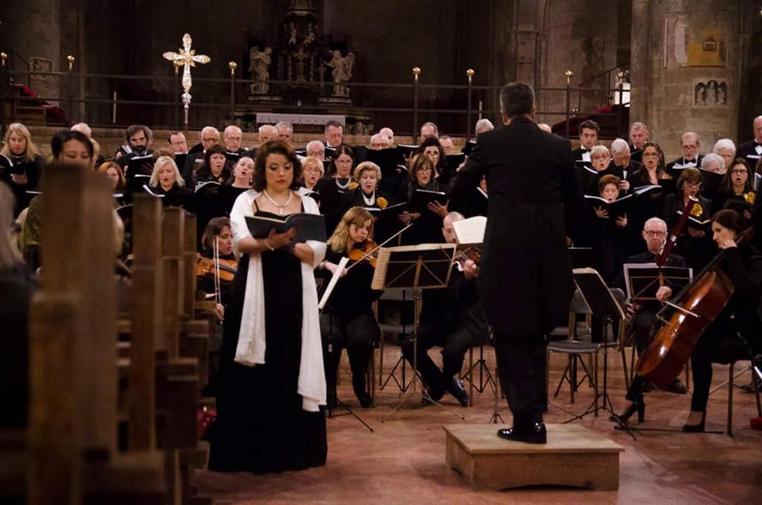 EN UN CONCIERTO. La tucumana durante un recital, antes de que aparezca el virus.