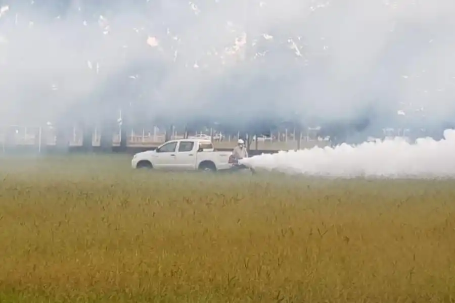 AUMENTAN LAS FUMIGACIONES. Cada vez más clubes, empresas y countries solicitan rociar con insecticidas los predios para disminuir la cantidad de mosquitos y prevenir que haya muchos casos de dengue. 