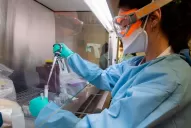 Diez enfermedades que matan más que el coronavirus