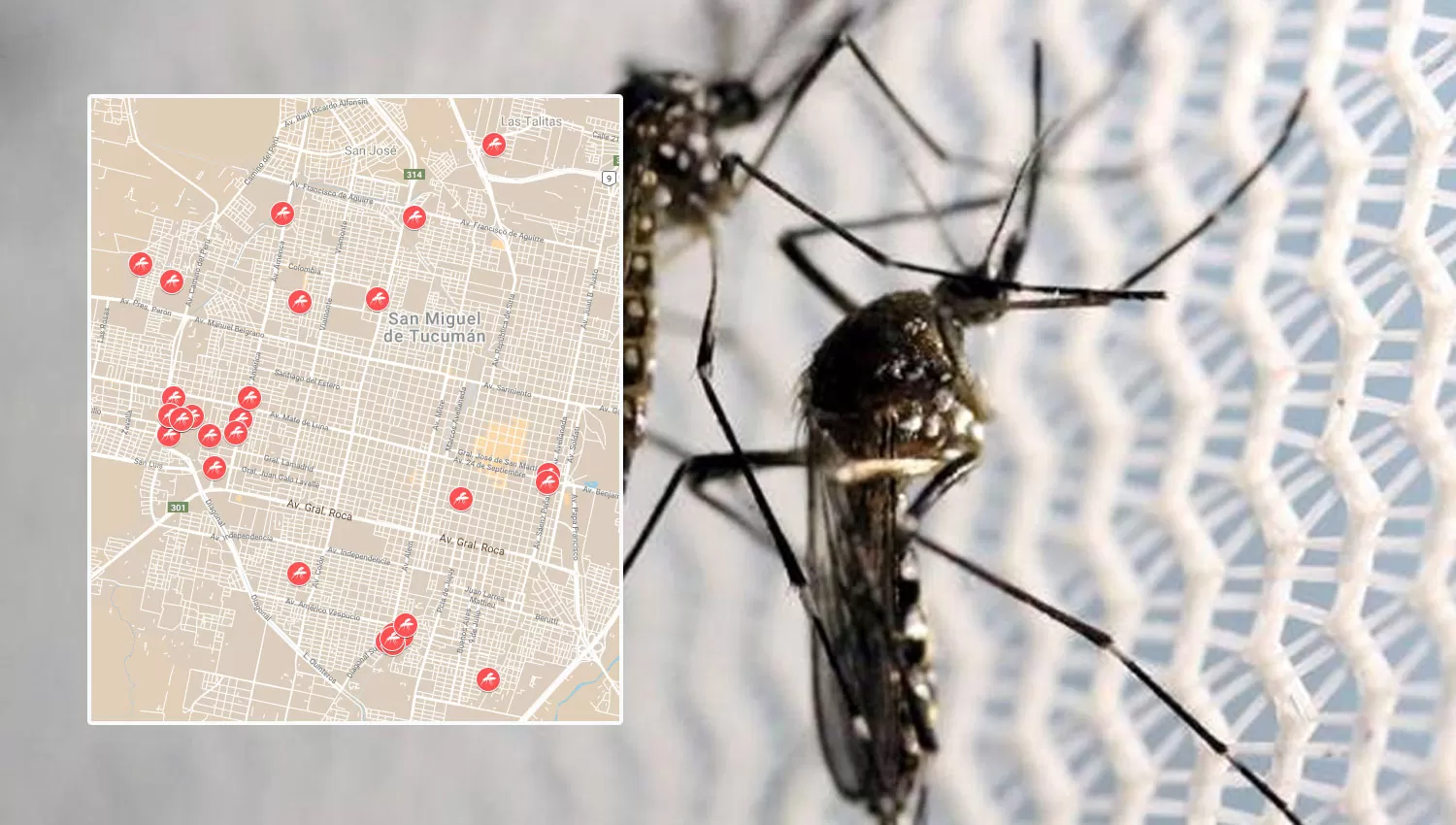 Mapa con los casos de dengue confirmados en Tucumán