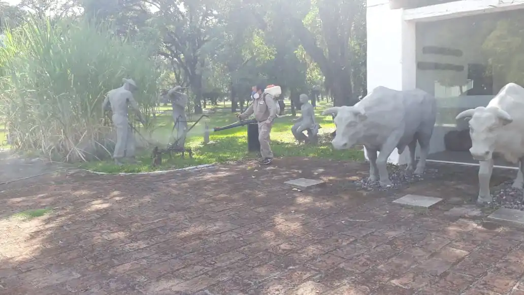 Fumigan distintos puntos de la capital ante el brote de dengue