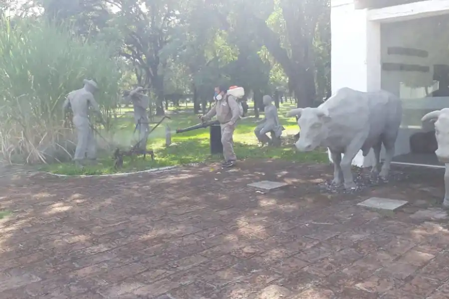 Fumigan distintos puntos de la capital ante el brote de dengue