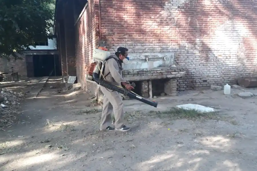 Fumigan distintos puntos de la capital ante el brote de dengue