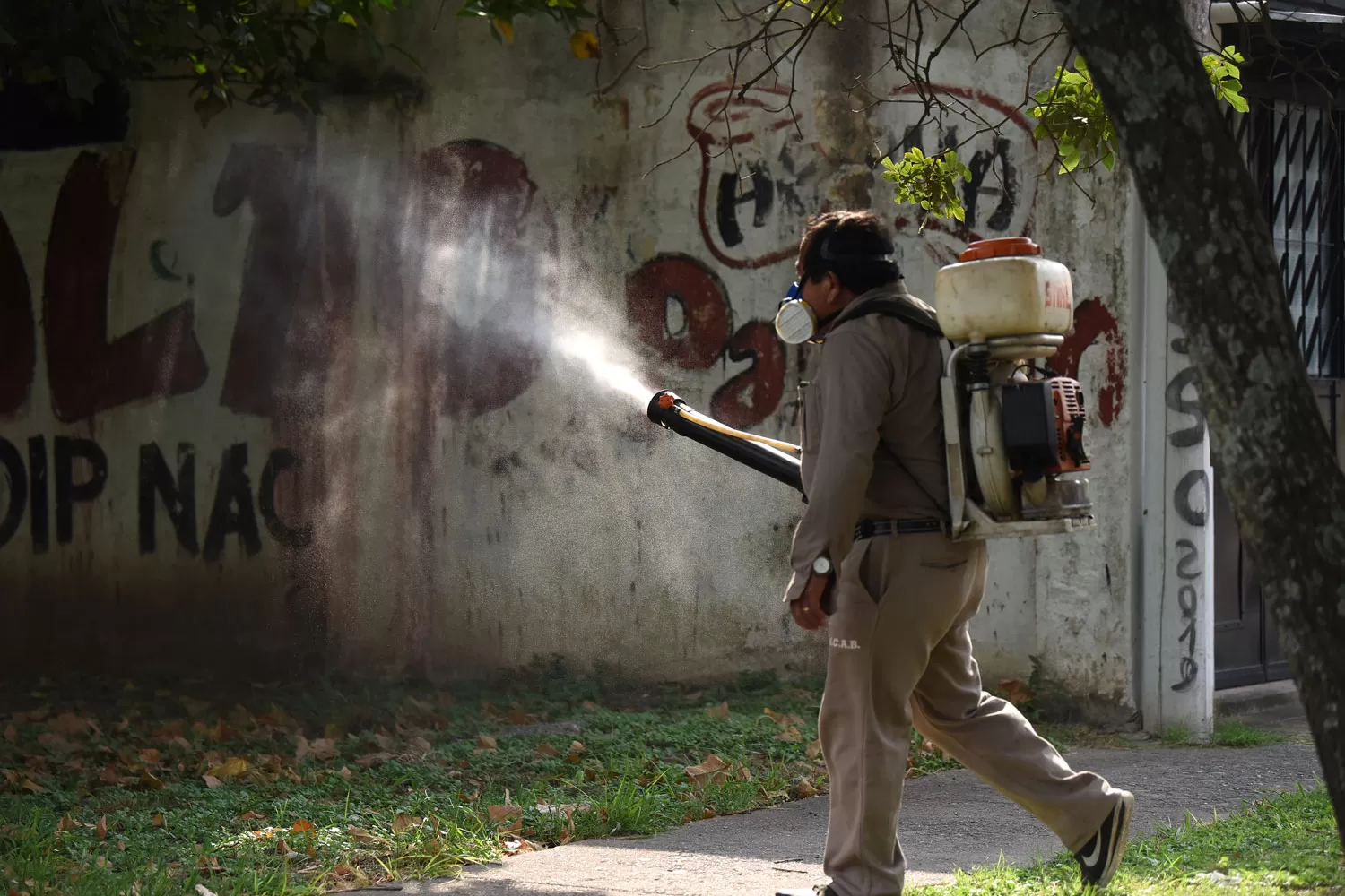 Dengue: la lucha contra el mosquito en imágenes