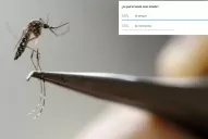 Los tucumanos creen que el dengue es más peligroso que el coronavirus
