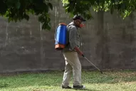 Ni magia ni solución a gran escala: prevenir el dengue empieza por casa