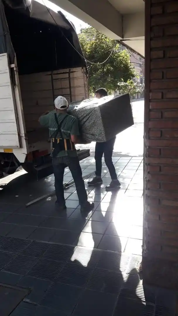 Mudanzas: el arte de moverse en espacios milimétricos