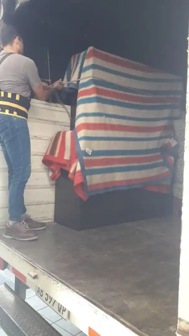 Mudanzas: el arte de moverse en espacios milimétricos