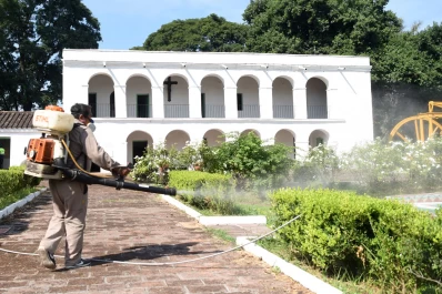Diagnosticaron 22 nuevos casos de dengue y ya suman 146 en Tucumán