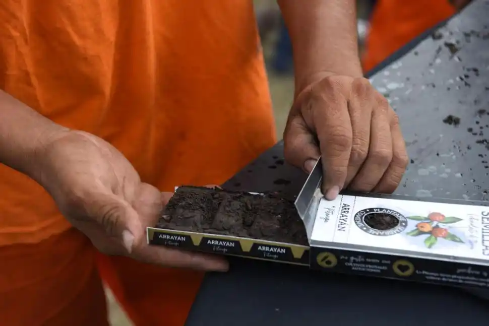  EL RESULTADO. Cada caja tiene seis semillas, con fertilizante incluido, para que los vecinos las planten directamente.