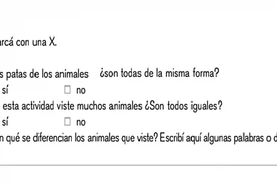 Educación en tiempos del coronavirus: la escuela es la casa
