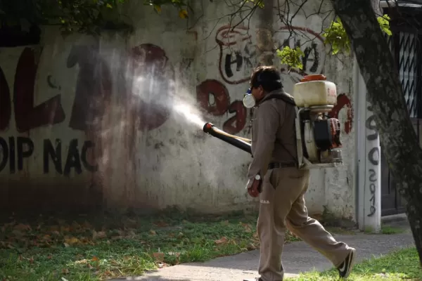 Quince nuevos casos en 24 horas y ya son 172 los infectados de dengue confirmados en Tucumán