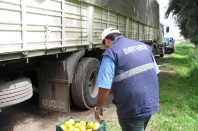 El Senasa pide que se tramite en persona sólo temas urgentes