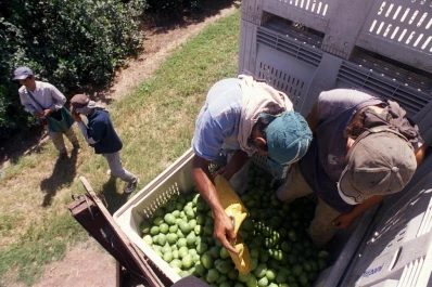Reporte Rural: responsabilidad social en tiempos de pandemia