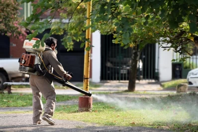 No debemos olvidarnos del dengue, advierten los especialistas