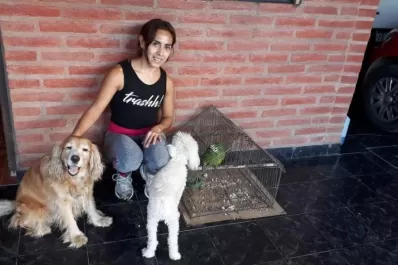 Los deportistas hacen lo posible por mantener la rutina