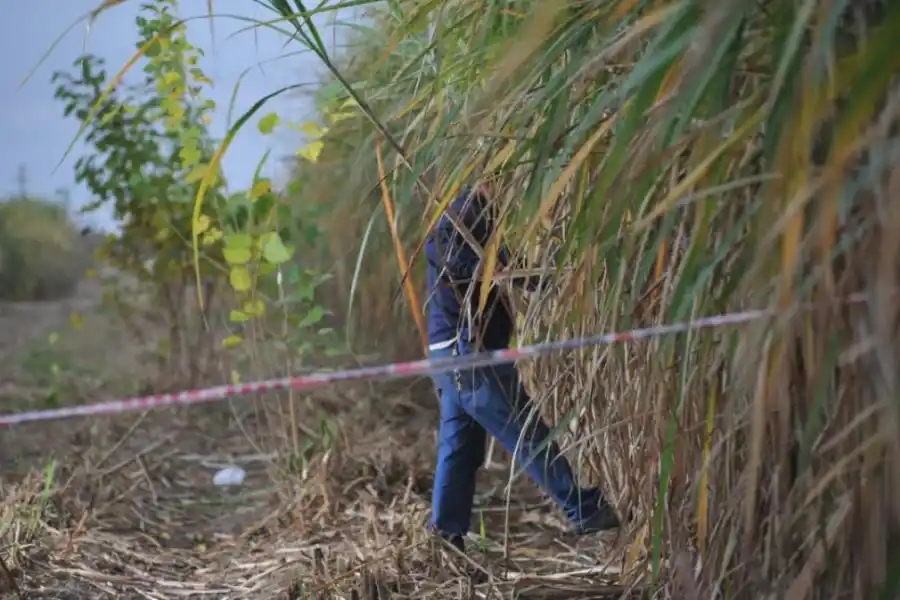 EN LEALES. Cinco meses después de su desaparición, trabajadores hallaron en un cañaveral los restos de la joven. 