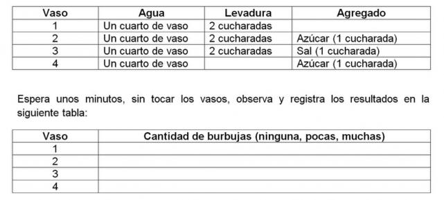 Experimento Para Hacer En Casa Ciencias Naturales La Gaceta Tucuman