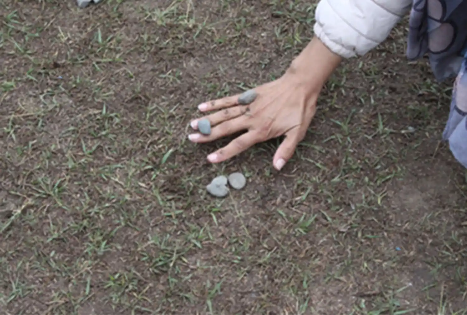 Educación en tiempos del coronavirus: la escuela es la casa