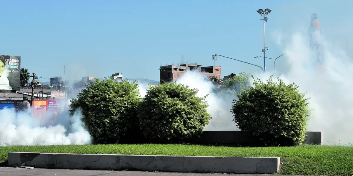 Hay que buscar nuevas acciones contra el dengue en Tucumán