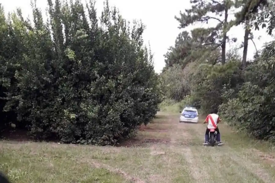 EL LUGAR. La tragedia se desencadenó en una plantación de difícil acceso. 