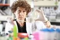 Coronavirus: importante avance para producir los primeros tests en Argentina