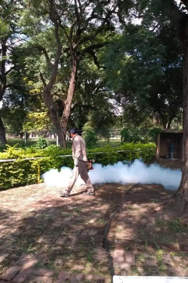 PRINCIPAL PASEO PÚBLICO. Fumigaciones en la plaza Independencia. 