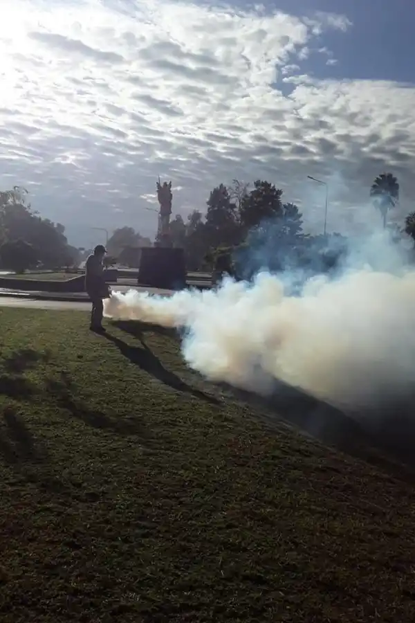 LA TAREA NO CESA. Todos los días salen las cuadrillas municipales.