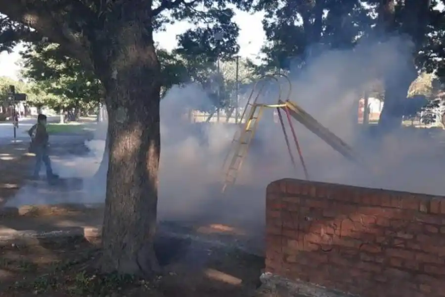 PLAZAS Y PARQUES. Una zona clave para desterrar al mosquito Aedes.