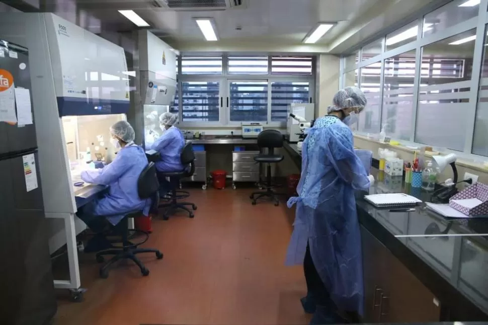 DETECCIÓN DEL VIRUS. En el laboratorio provincial  se podrán analizar entre 100 y 150 muestras diarias. 